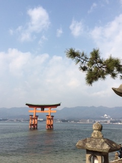 秋ですね