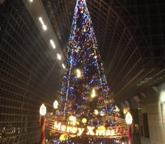 京都駅のツリー