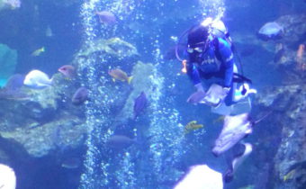 ☆京都水族館☆