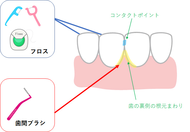 口腔ケアってなんですか？｜歯科の豆知識｜京都市中京区の歯科｜たけち歯科クリニック