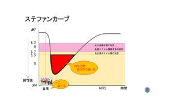 食生活の落とし穴