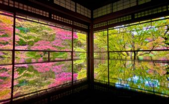 京都の紅葉